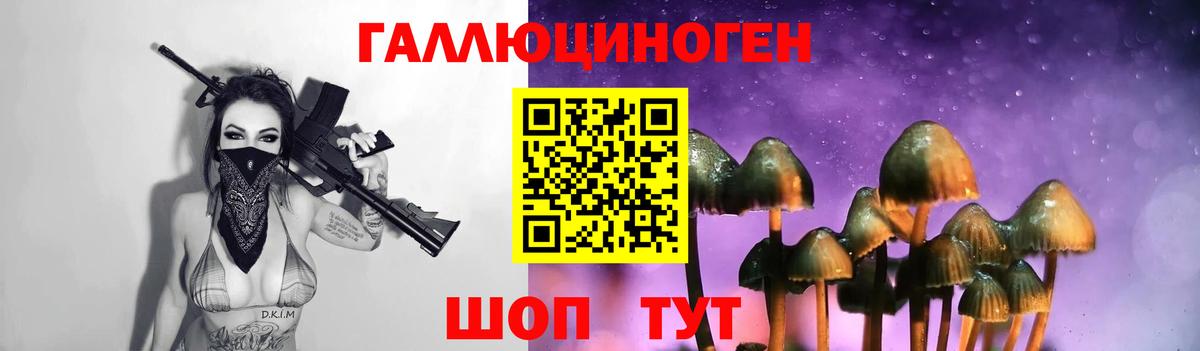 цена наркотик  Вход с VPN  Киреевск  Псилоцибиновые грибы Psilocybine cubensis 